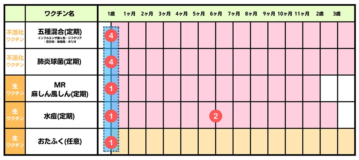 乳幼児の予防接種スケジュール表（1歳〜3歳）。五種混合（不活化・定期）は1歳で4回目。肺炎球菌（不活化・定期）は1歳で4回目。MR・麻しん風しん（生・定期）は1歳で1回。水痘（生・定期）は1歳で1回目、1歳6ヶ月で2回目の計2回。おたふく（生・任意）は1歳で1回。